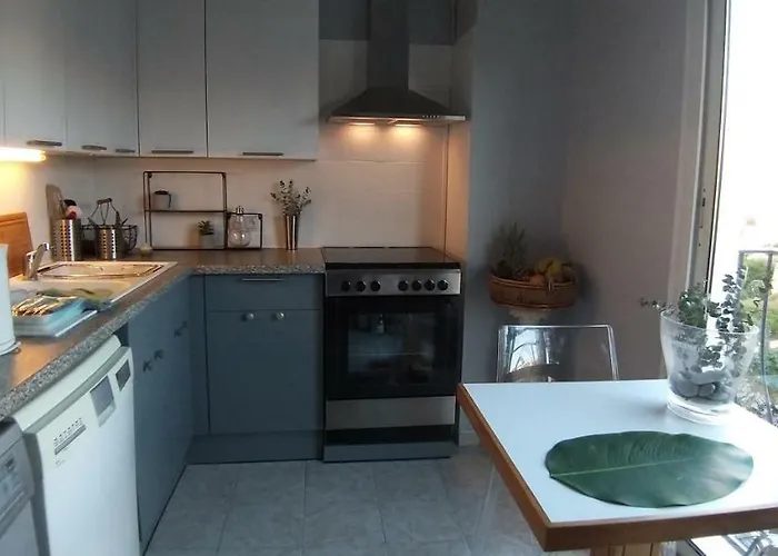 Apartman Les Grands Cedres D3 *